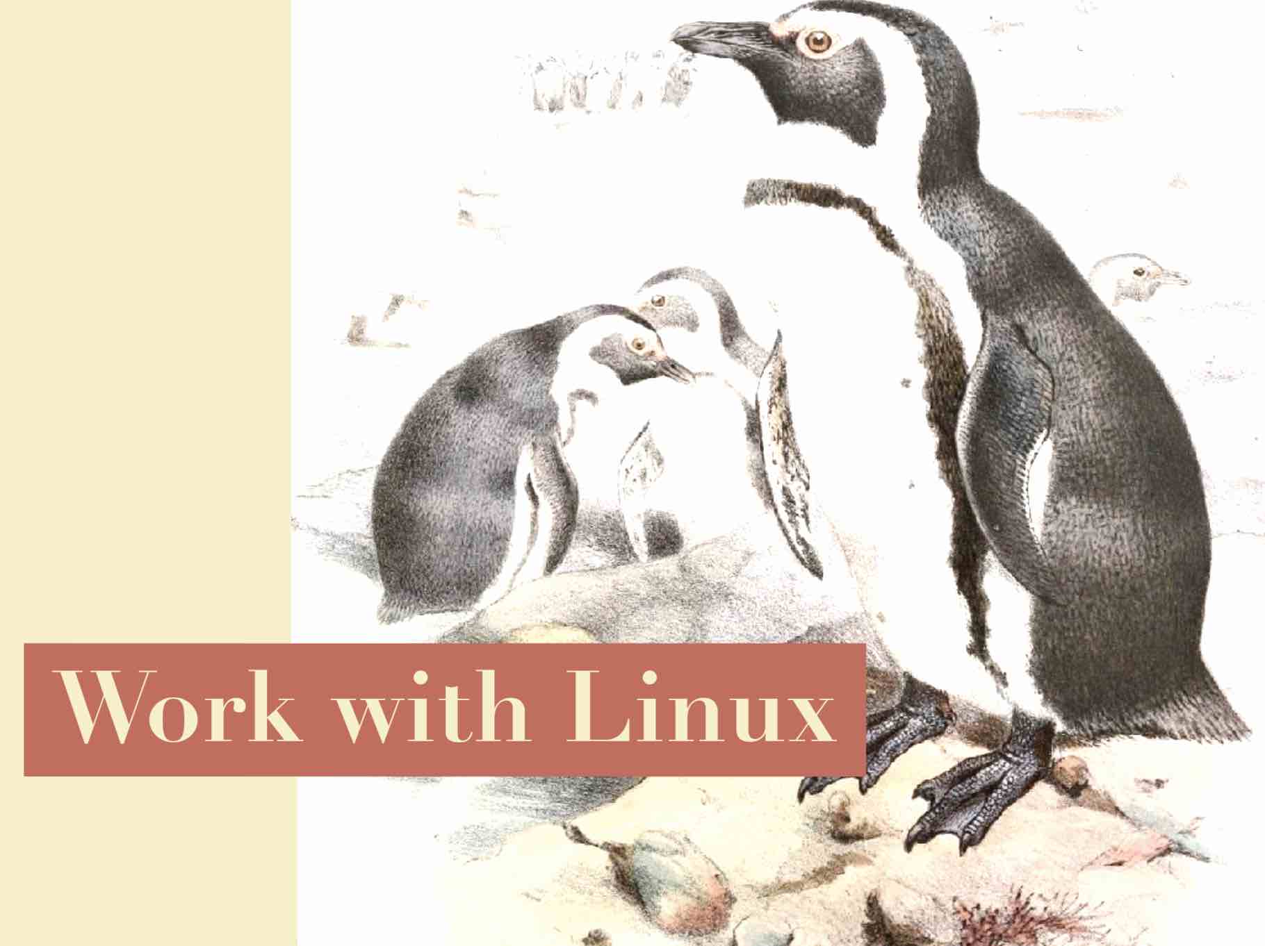 Work with linux